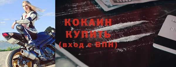 индика Михайловск